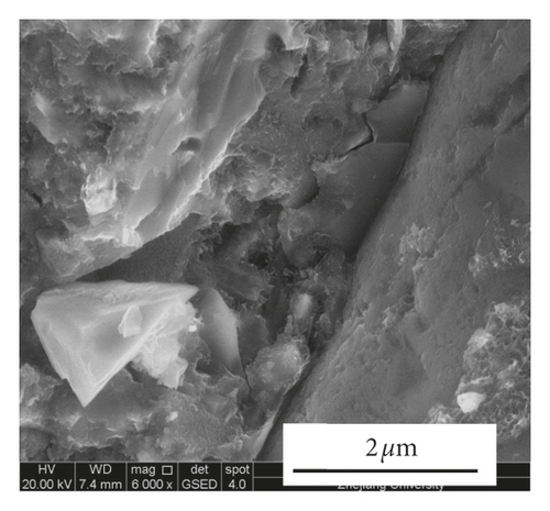 Details are in the caption following the image
