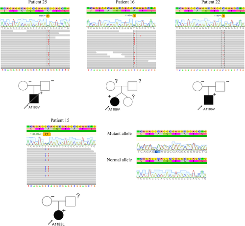 Details are in the caption following the image Details are in the caption following the image