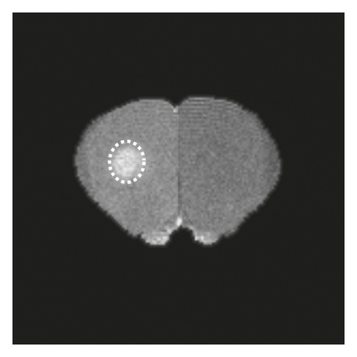 Details are in the caption following the image