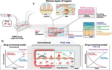 Lubricant-Coated Organ-on-a-Chip for Enhanced Precision in Preclinical Drug Testing