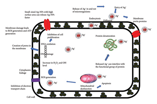 Details are in the caption following the image Details are in the caption following the image