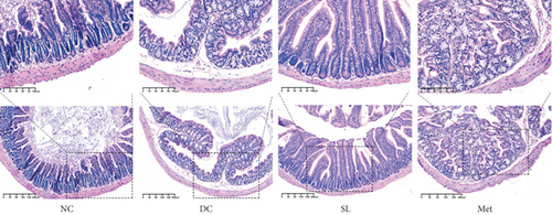 Details are in the caption following the image Details are in the caption following the image