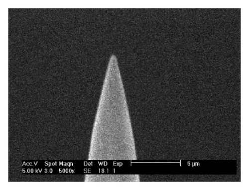Details are in the caption following the image
