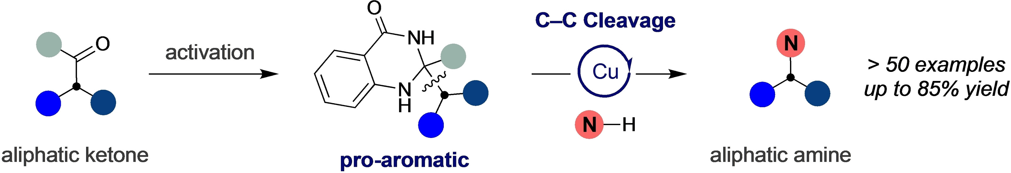 Copper-Catalyzed C(sp3)-Amination of Ketone-Derived Dihydroquinazolinones by Aromatization-Driven C−C Bond Scission