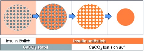 Pure Protein Microspheres by Calcium Carbonate Templating