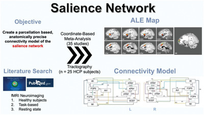 Parcellation-based tractographic modeling of the salience network through meta-analysis