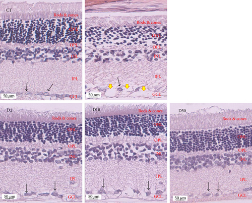 Details are in the caption following the image Details are in the caption following the image