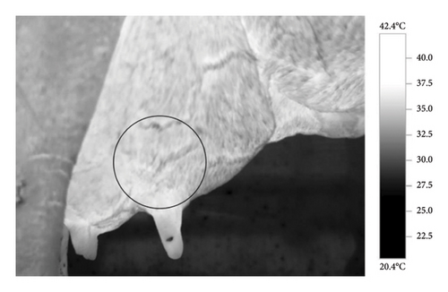 Details are in the caption following the image Details are in the caption following the image