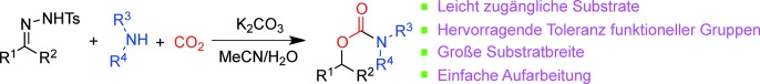 Base-Promoted Coupling of Carbon Dioxide, Amines, and N-Tosylhydrazones: A Novel and Versatile Approach to Carbamates