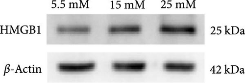 Details are in the caption following the image