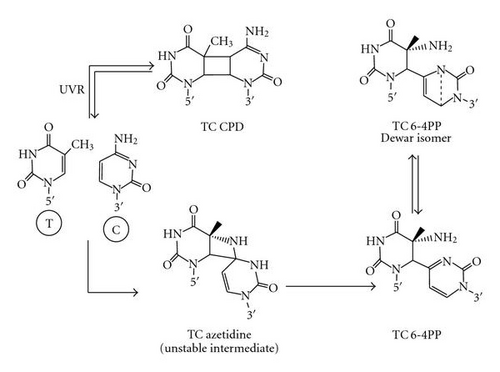 Details are in the caption following the image