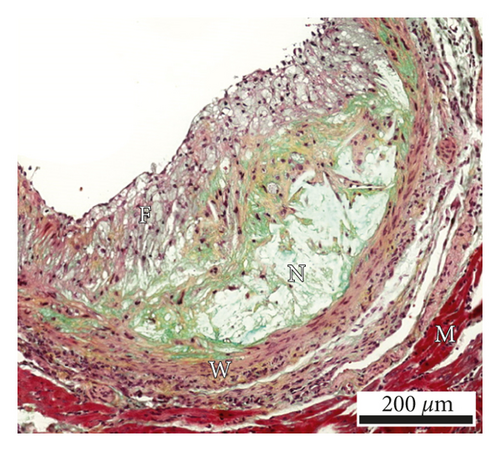 Details are in the caption following the image Details are in the caption following the image