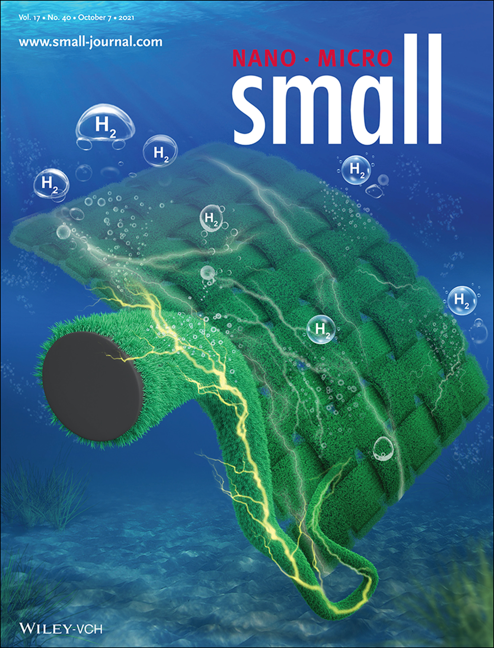 Boosting Hydrogen Evolution Reaction via Electronic Coupling of Cerium Phosphate with Molybdenum Phosphide Nanobelts (Small 40/2021) Volume 17 Issue 40, 2021