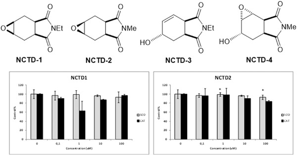 Evaluation of isoindole derivatives: Antioxidant potential and cytotoxicity in the HT-29 colon cancer cells