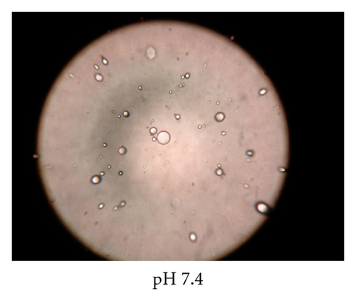 Details are in the caption following the image