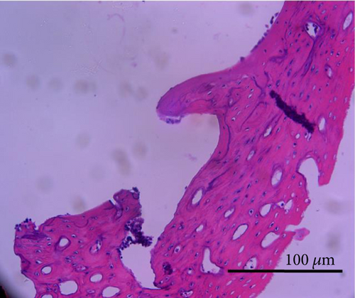Details are in the caption following the image