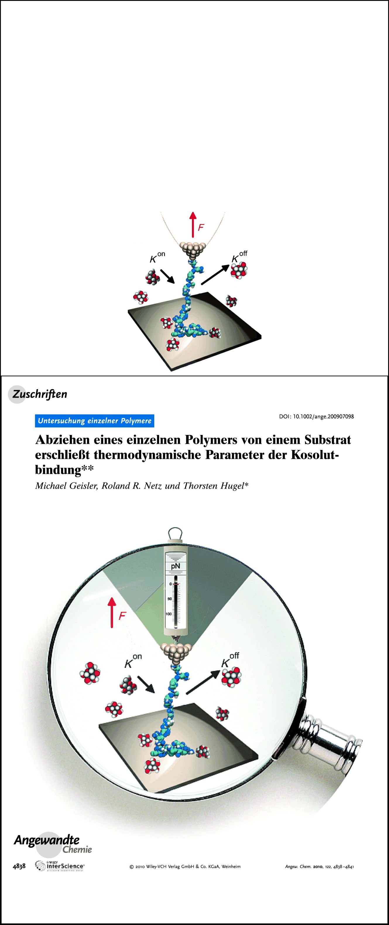 Abziehen eines einzelnen Polymers von einem Substrat erschließt thermodynamische Parameter der Kosolutbindung