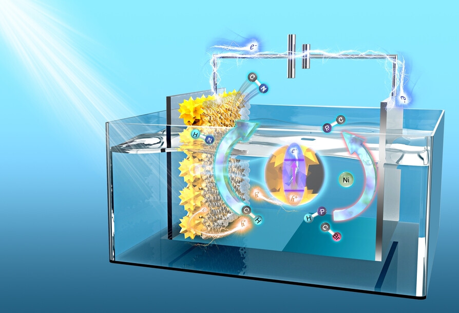 Customized Photoelectrochemical C−N and C−P Bond Formation Enabled by Tailored Deposition on Photoanodes