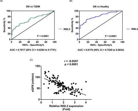 Clinical value of INSL3 in the diagnosis and development of diabetic nephropathy