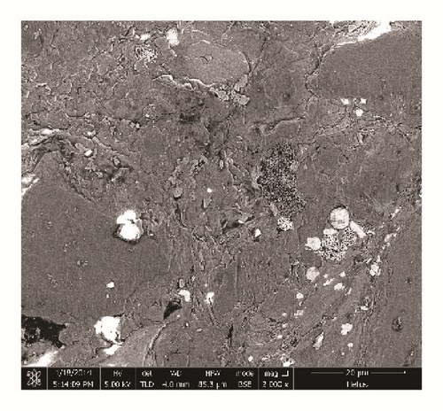 Details are in the caption following the image