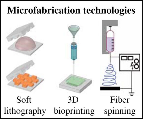 Advances in microfabrication technologies in tissue engineering and regenerative medicine