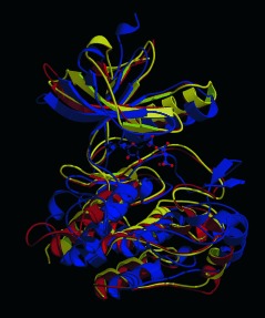 From Protein Domains to Drug Candidates—Natural Products as Guiding Principles in the Design and Synthesis of Compound Libraries