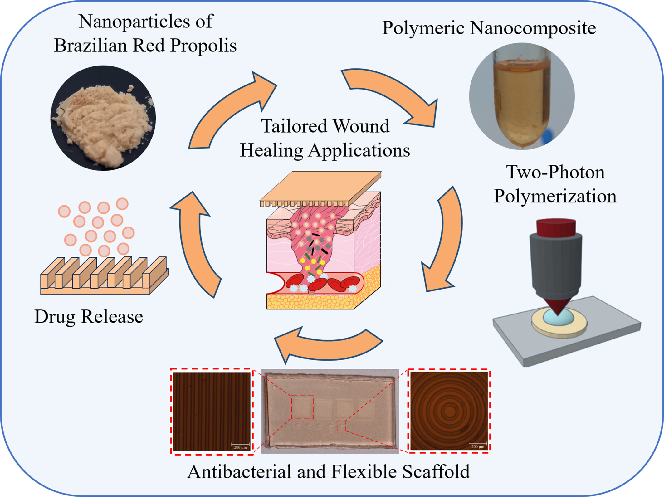 Two-Photon Polymerizable Nanocomposites Incorporating Brazilian Red Propolis for Tailored Wound Healing Applications Issue ,