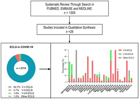 Temporary mechanical circulatory support for COVID-19 patients: A systematic review of literature