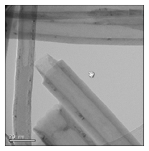 Details are in the caption following the image