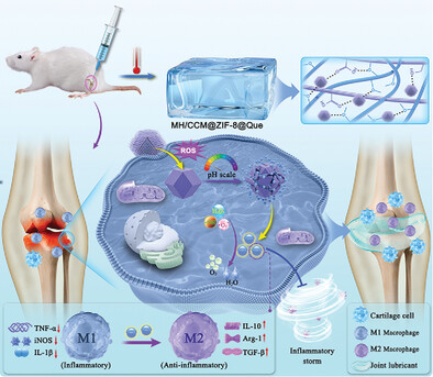 Lubricating and Dual-Responsive Injectable Hydrogels Formulated From ZIF-8 Facilitate Osteoarthritis Treatment by Remodeling the Microenvironment