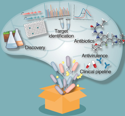 Thinking Outside the Box—Novel Antibacterials To Tackle the Resistance Crisis