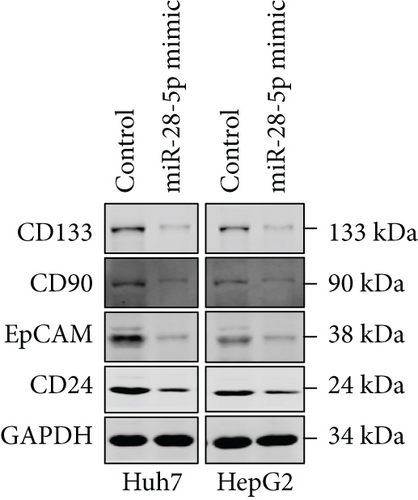 Details are in the caption following the image