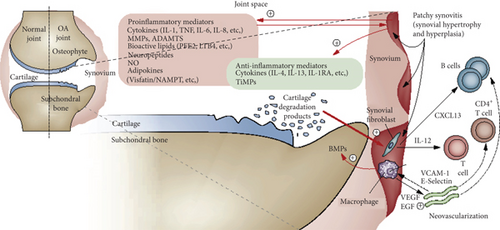 Details are in the caption following the image