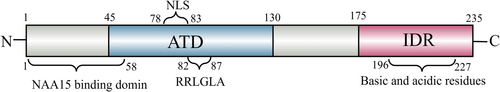 Details are in the caption following the image Details are in the caption following the image