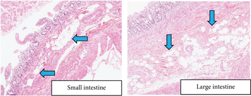 Details are in the caption following the image