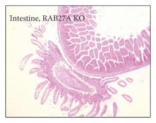 Details are in the caption following the image