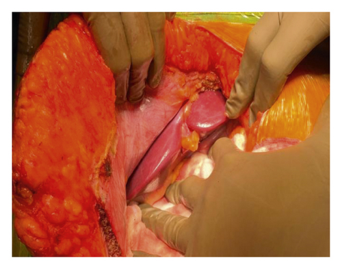 Details are in the caption following the image Details are in the caption following the image