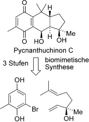 Biomimetische Synthese von (−)-Pycnanthuchinon C über eine Vinylchinon-Diels-Alder-Reaktion
