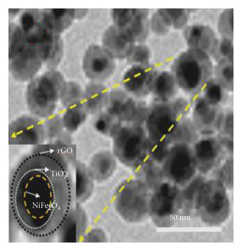 Details are in the caption following the image Details are in the caption following the image