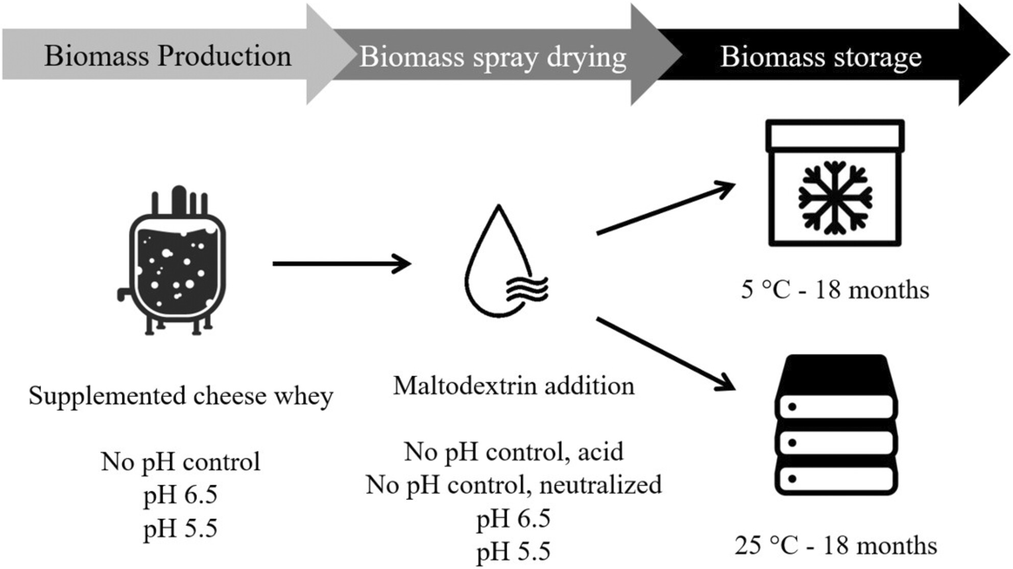 Cheese whey for production of breast milk-derived bifidobacteria: Influence of fermentation conditions on the survival to spray drying and storage