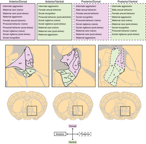 Details are in the caption following the image Details are in the caption following the image