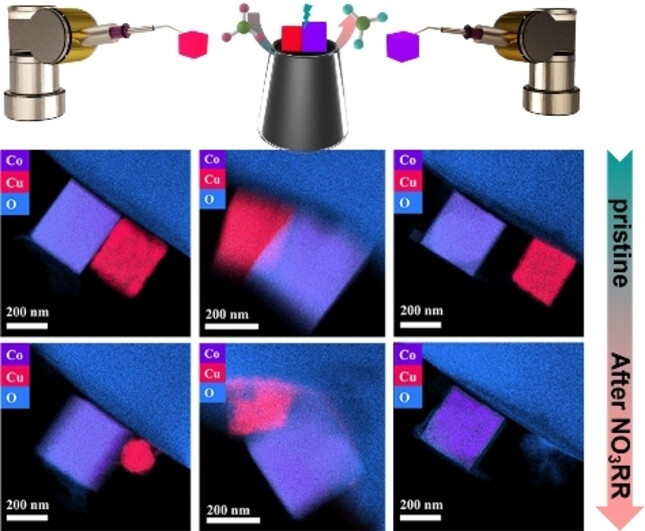 Single-entity Electrochemistry Unveils Dynamic Transformation during Tandem Catalysis of Cu2O and Co3O4 for Converting NO3− to NH3