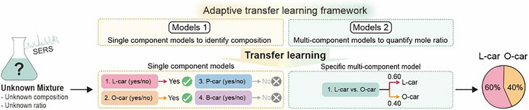 Transfer Learning-Assisted SERS: Predicting Molecular Identity and Concentration in Mixtures Using Pure Compound Spectra