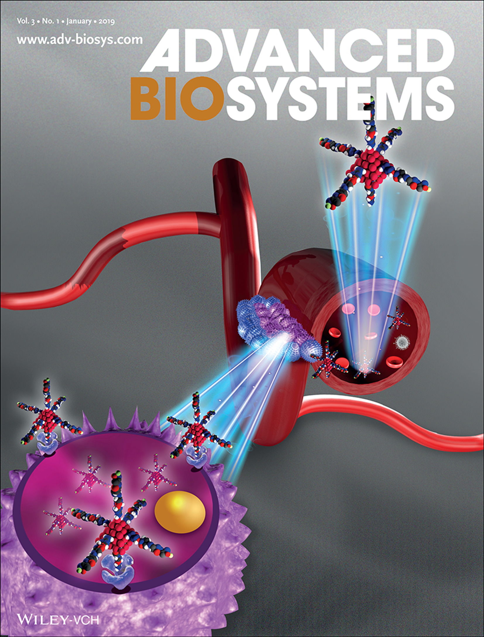 Bioimaging: Microwave-Assisted Synthesis of Quasi-Pyramidal CuInS2–ZnS Nanocrystals for Enhanced Near-Infrared Targeted Fluorescent Imaging of Subcutaneous Melanoma (Adv. Biosys. 1/2019) Volume 3 Issue 1, 2019