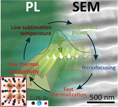 Direct Imprinting of Laser Field on Halide Perovskite Single Crystal for Advanced Photonic Applications