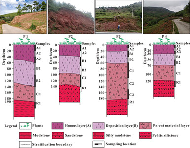 Chemical weathering intensity and geochemical characteristics of Cretaceous terrigenous clastic rock-purple soil profiles in the Pushi area, Xichang