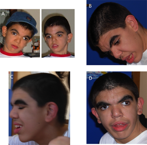 Details are in the caption following the image Details are in the caption following the image