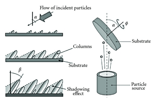 Details are in the caption following the image Details are in the caption following the image
