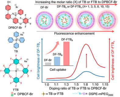Doping Bulky Fluorinated Organic Anion to Construct Highly Efficient Anion-π+ Type Photosensitizers for Cancer Phototheranostics