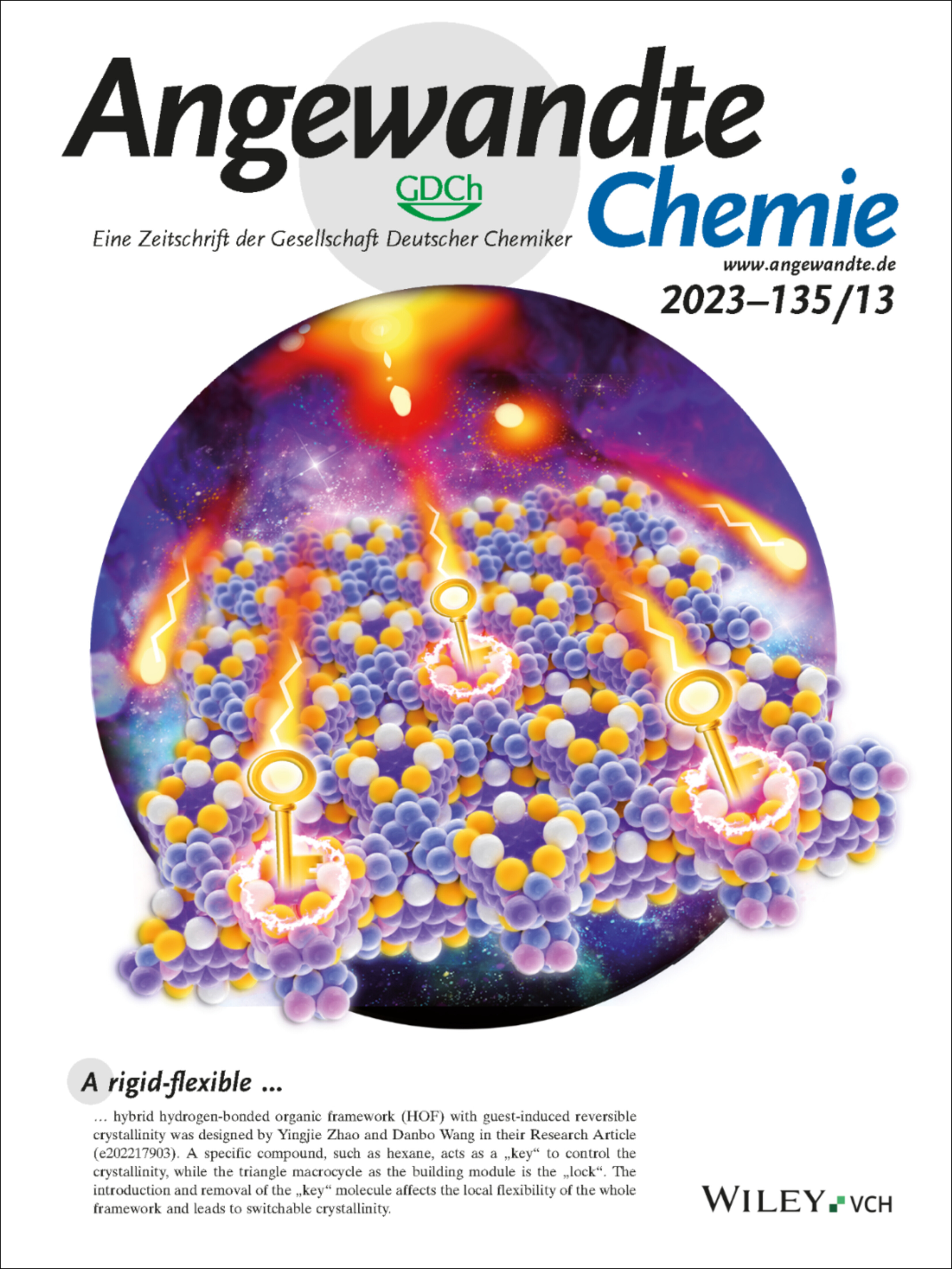 Innenrücktitelbild: Rigid-Flexible Hybrid Porous Molecular Crystals with Guest-Induced Reversible Crystallinity (Angew. Chem. 13/2023) Volume 135 Issue 13, 2023